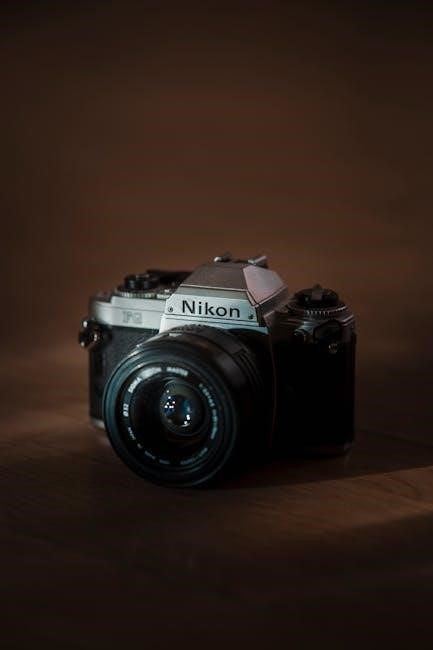 nikon p900 manual