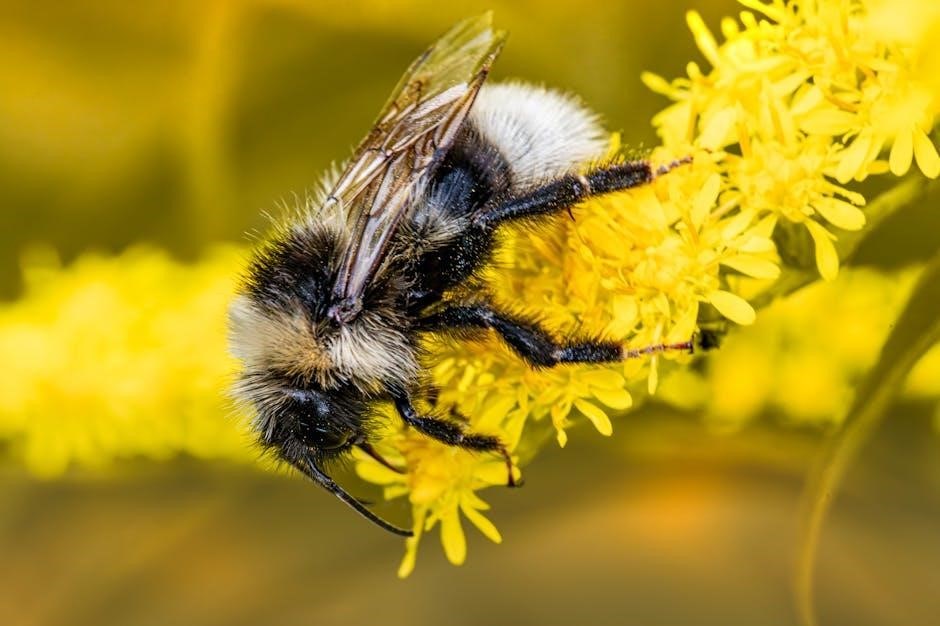 david yonggi cho books free download pdf