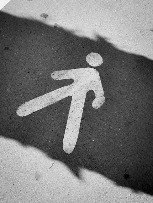 alcon multifocal fitting guide