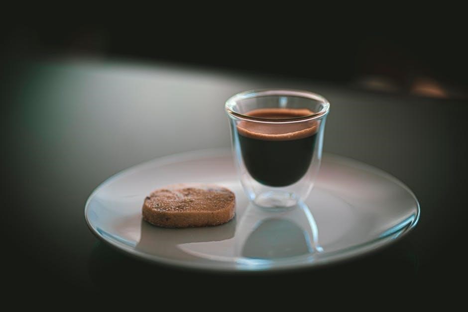 saeco incanto manual